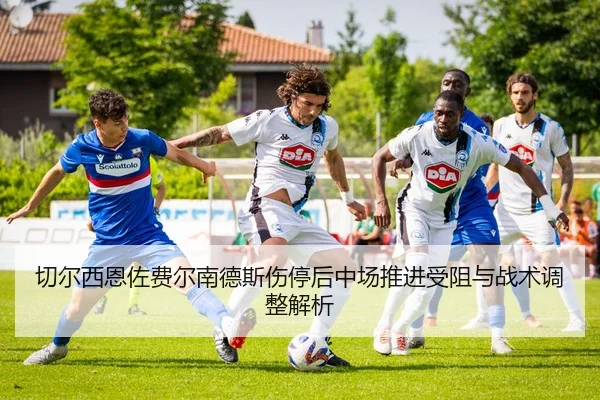 img_1781456995395_86_0_951.jpg
