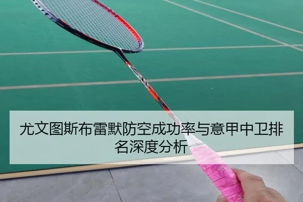 尤文图斯布雷默防空成功率与意甲中卫排名深度分析